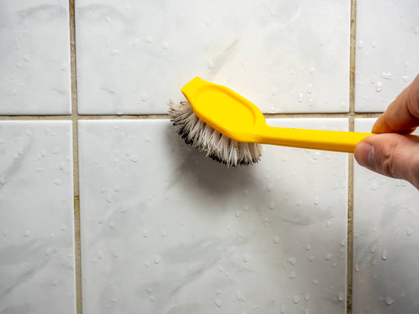 Best Kitchen Mold Remediation in Redlands, CA