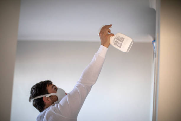 Best Mold Testing and Inspection Services in Redlands, CA