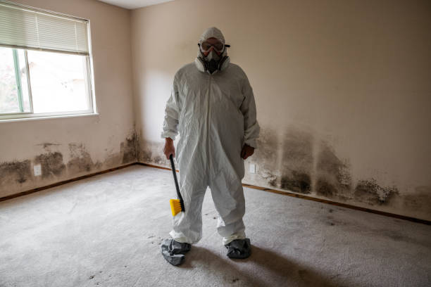 Best Industrial Mold Remediation in Redlands, CA